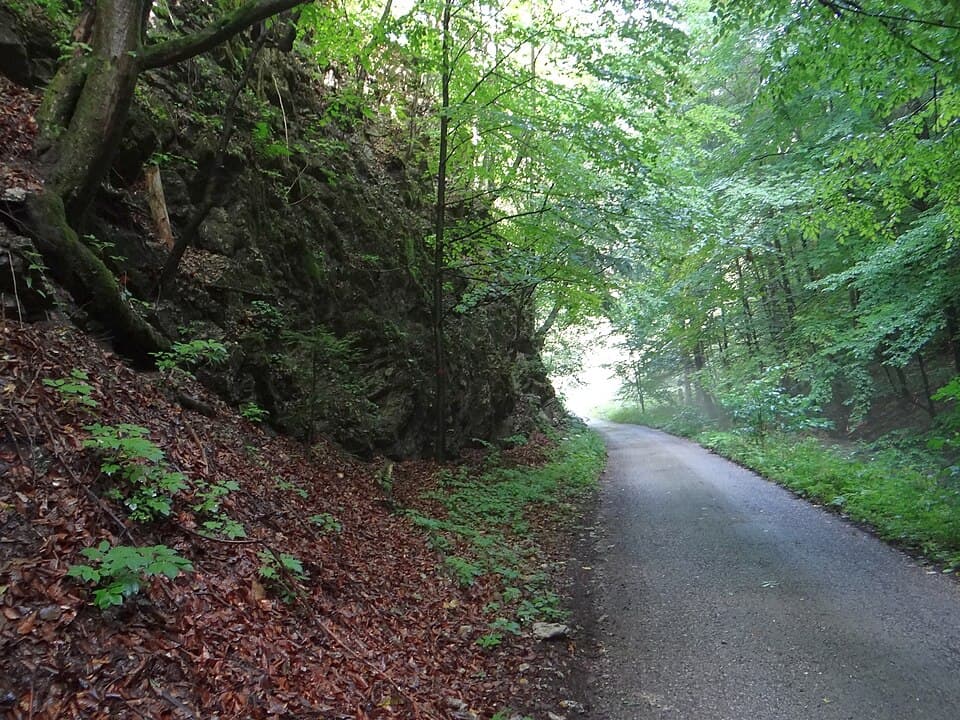 Bystrická dolina