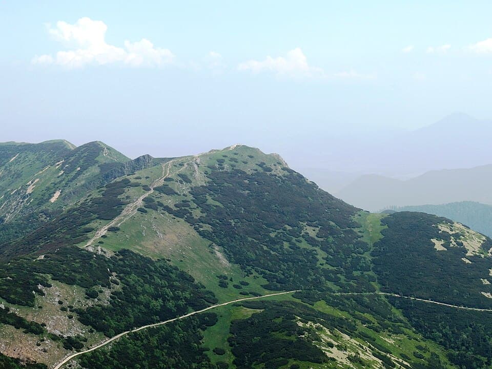 Chleb