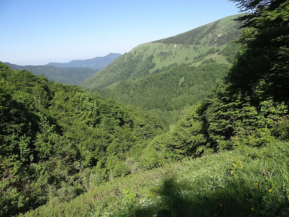 Necpalská dolina