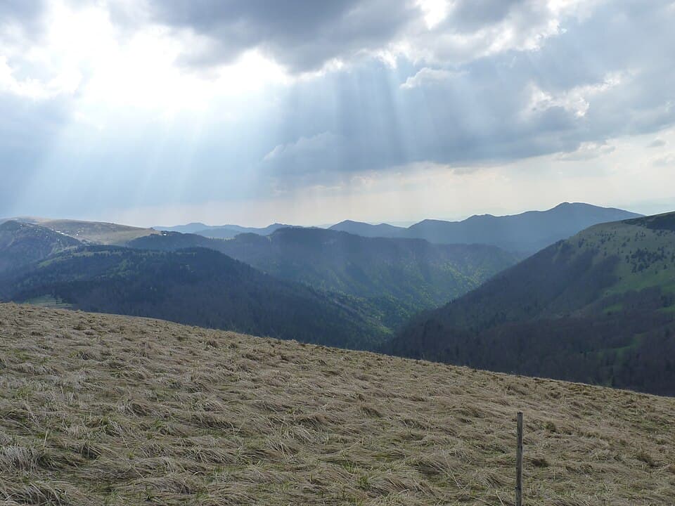 Ploská