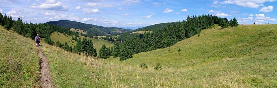 Smrekovica